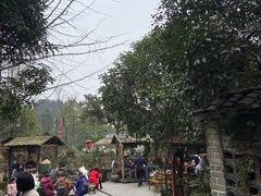 -青城甲(青城山店)