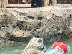 -郑州银基国际旅游度假区