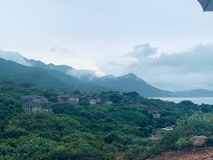 -杨梅坑