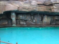 景点-杭州开元森泊度假乐园