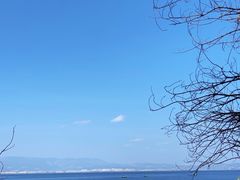 -抚仙湖禄充风景区
