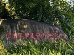 -三垟湿地
