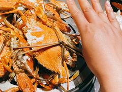 蒸汽海鲜-乔哥铭洋海鲜自助(皇城恒隆广场店)