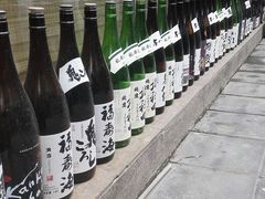 -一本钓鲔鱼屋
