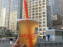 -CoCo都可(建外SOHO店)