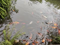 -成都杜甫草堂博物馆