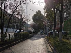 -堤角公园