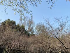 -杭州植物园