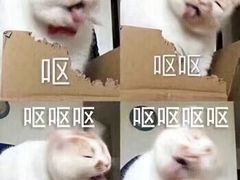 -李氏烤肉店