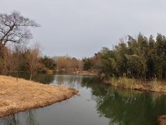 -梁鸿国家湿地公园