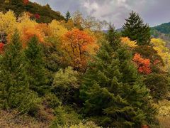 -叠溪松坪沟景区