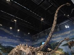 -自贡恐龙博物馆