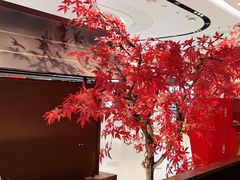 -牛New寿喜烧(闵行龙湖天街店)