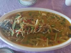 活渡花鲢-蜀江春(科华北路店)