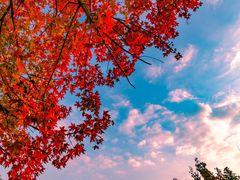 -九如山休闲旅游度假区