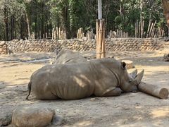 -北京野生动物园