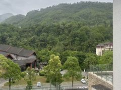 -中铁花水湾温泉酒店(大邑店)