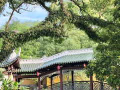 -江心屿景区