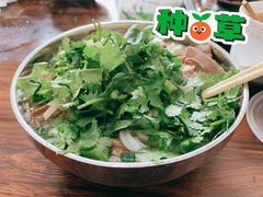 -攀枝花·任德琼·盐边羊肉米线