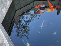 -西安市广仁寺