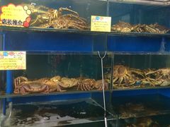 -蚝专家(北滘店)
