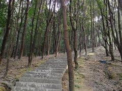 -广州市帽峰山景区