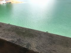 -广州市流溪河国家森林公园