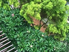 -特房·山水新座