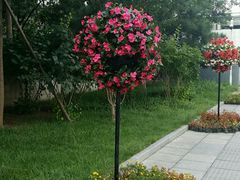 -中央广播电视总台(光华路办公区)