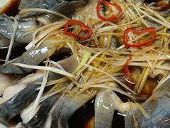 -煲来饱去冷水鱼