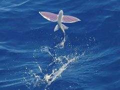 -1886德国汽车餐厅(外滩中央店)