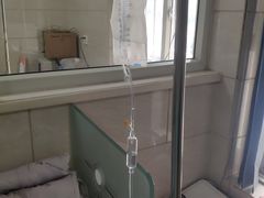 -瑞派天宁宠物医院·猫科·异宠中心