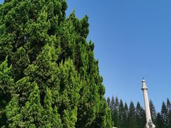 -十九路军淞沪抗日阵亡将士陵园