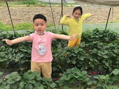 -小鱼草莓采摘园农家乐·小鱼餐厅