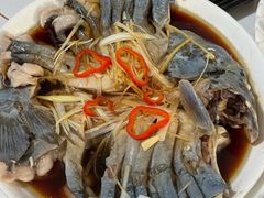 -煲来饱去冷水鱼