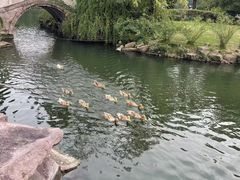 -台州府城(江南长城)