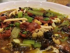 -金龙渔港(双楠店)