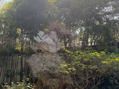 -上海醉白池公园