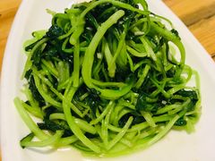 -老阿妈蒙古村·蒙古包·草原文化·歌舞表演(老君堂店)