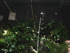 -BOBLOOM花店(宝龙旭辉广场店)