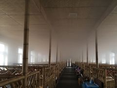 大堂-大鹅岛灶台鱼·铁锅炖(水库路店)