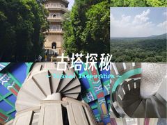 -灵谷景区