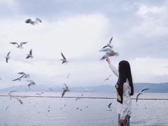-磻溪渡口
