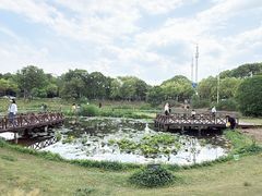 -美兰湖景区