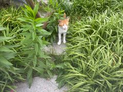 -Peet's Coffee皮爷咖啡(上海长风大悦城店)