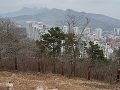 -浮山香苑