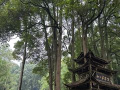 -青城山