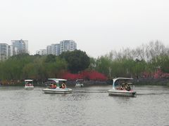 -圩墩遗址公园