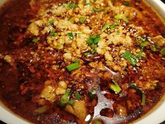 -陈麻婆豆腐总店