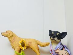 -美联众合动物医院·24h转诊中心